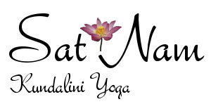 logo satnam